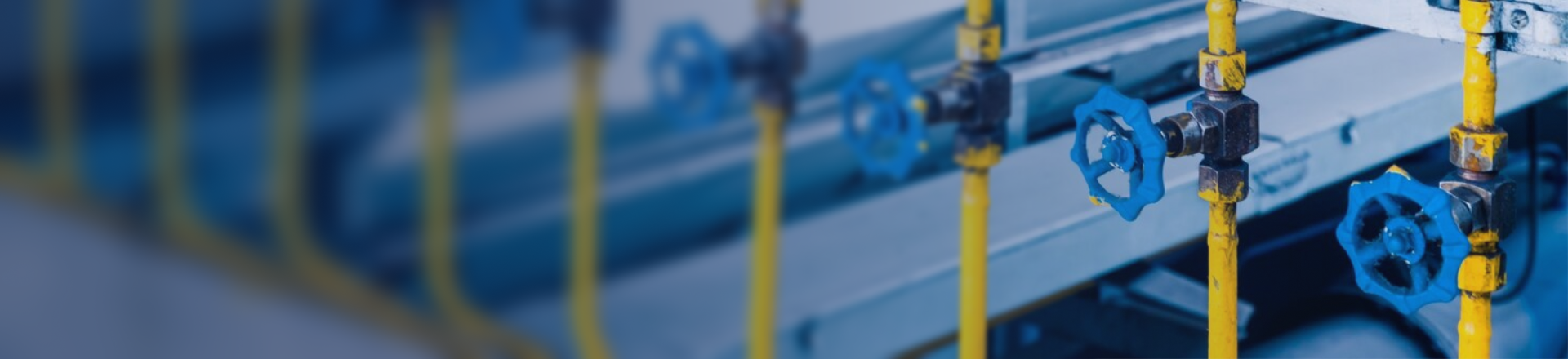 Electric Actuated Valve